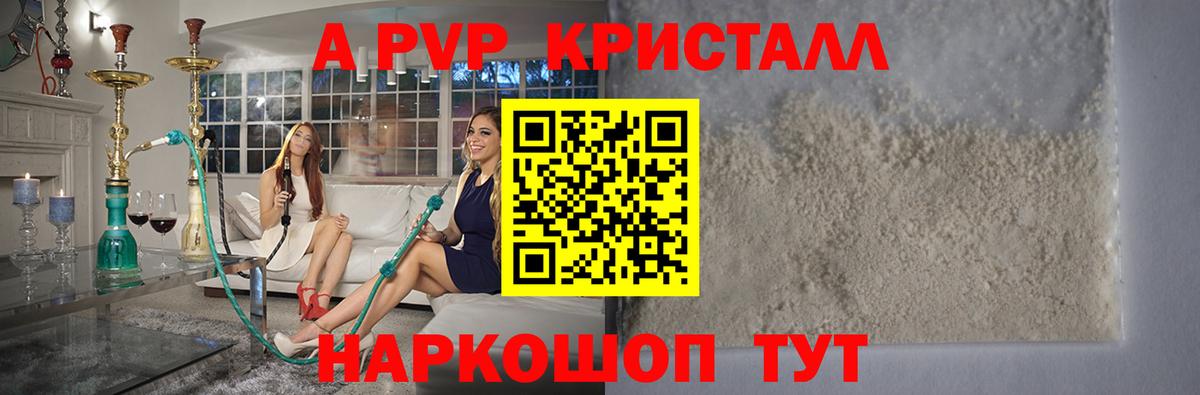 A PVP СК КРИС Архангельск
