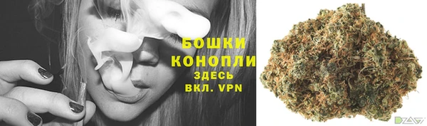 СК Каменка