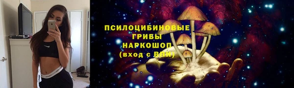 СК Каменка