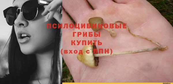 крисы Каменск-Шахтинский