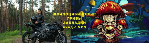 СК Каменка