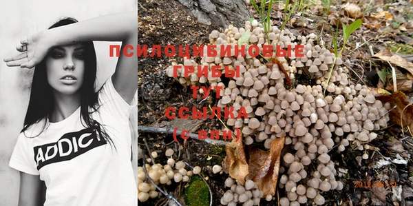 прущий лед Каменногорск