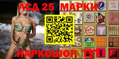 гидропоника Бердск