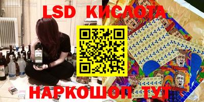 гидропоника Бердск