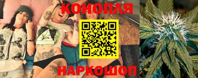 гидропоника Бердск