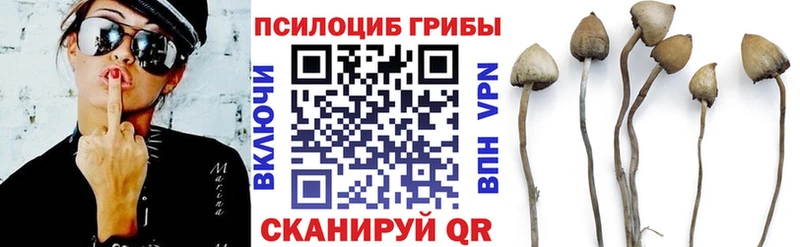 Псилоцибиновые грибы GOLDEN TEACHER  Архангельск 